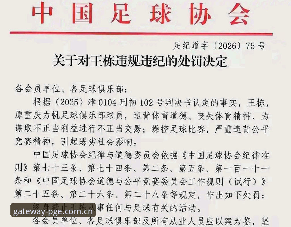 中国足协第三批禁足名单深度解析：17人终身禁赛背后的足球生态整顿