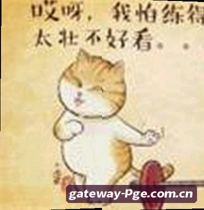 王雅